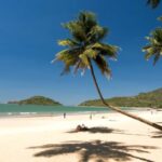 goa trip