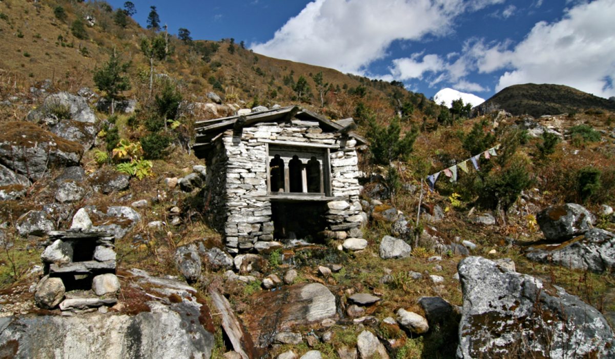 Jigme-Dorji-National-Park-bhutan