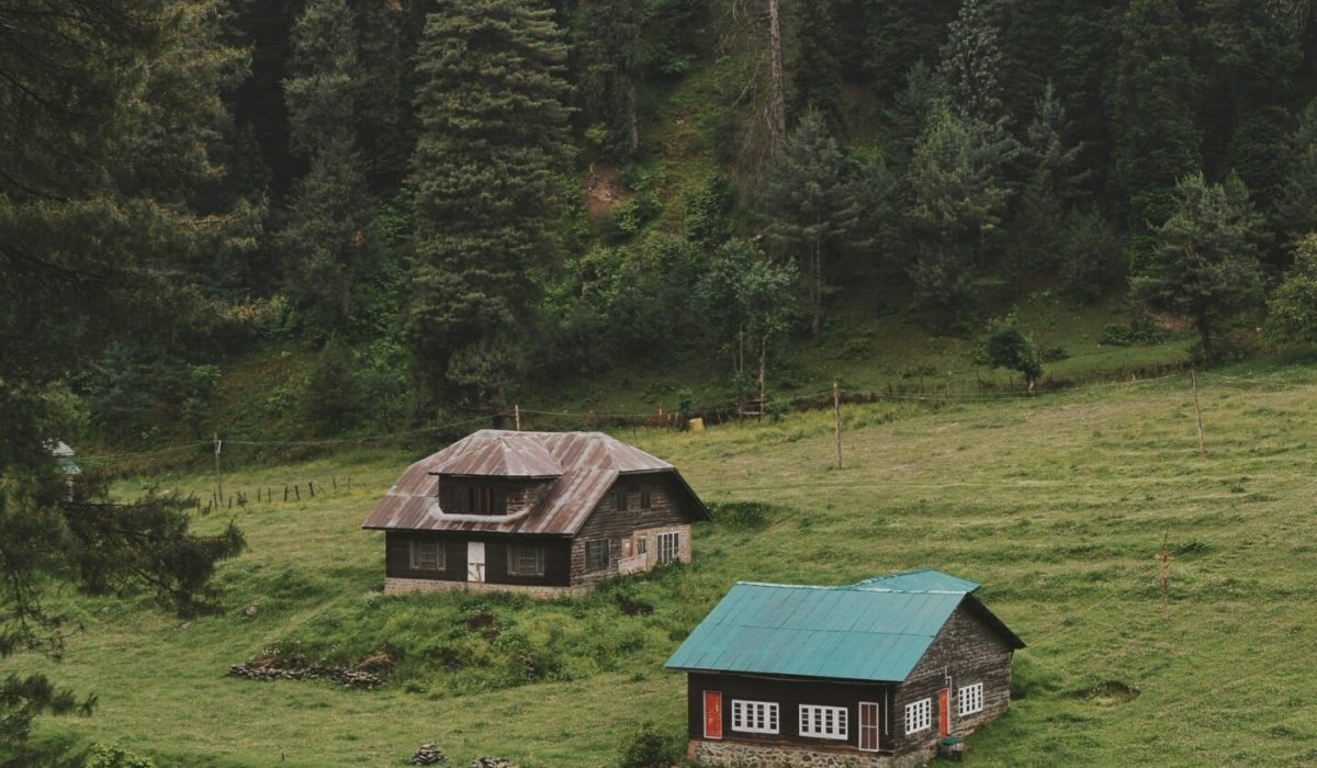 asim-hamid-DhVlZH3dB0E-unsplash