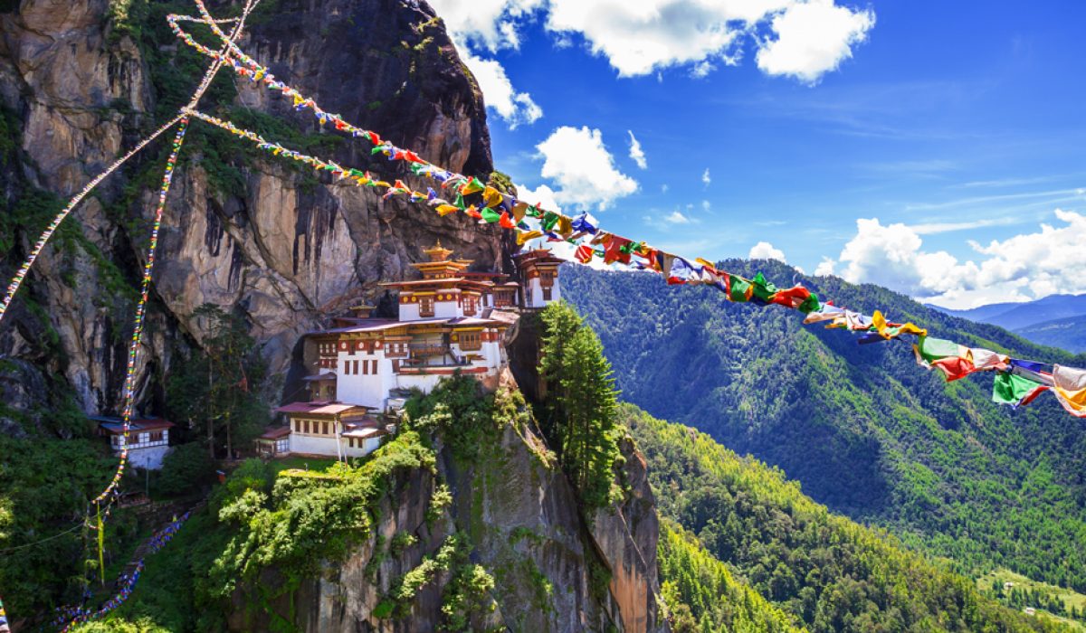 paro-new-frst