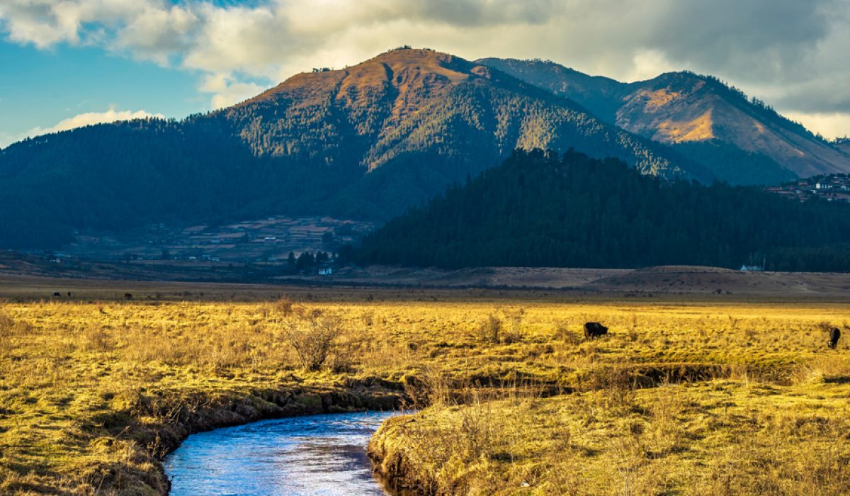 phobijikha-valley-bhutan-image