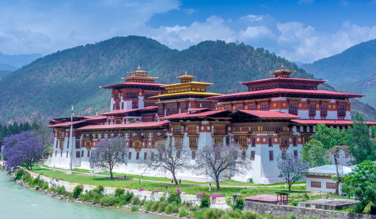 punakha-in-june-boxx